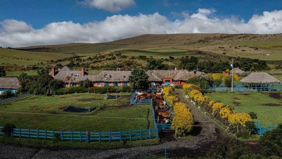 Property building, Garden, View (from property/room), Garden view, Landmark view