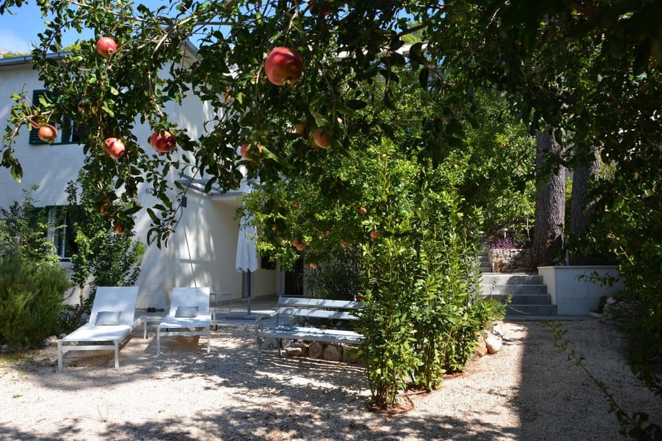 casa mare brela Apartment in Brela