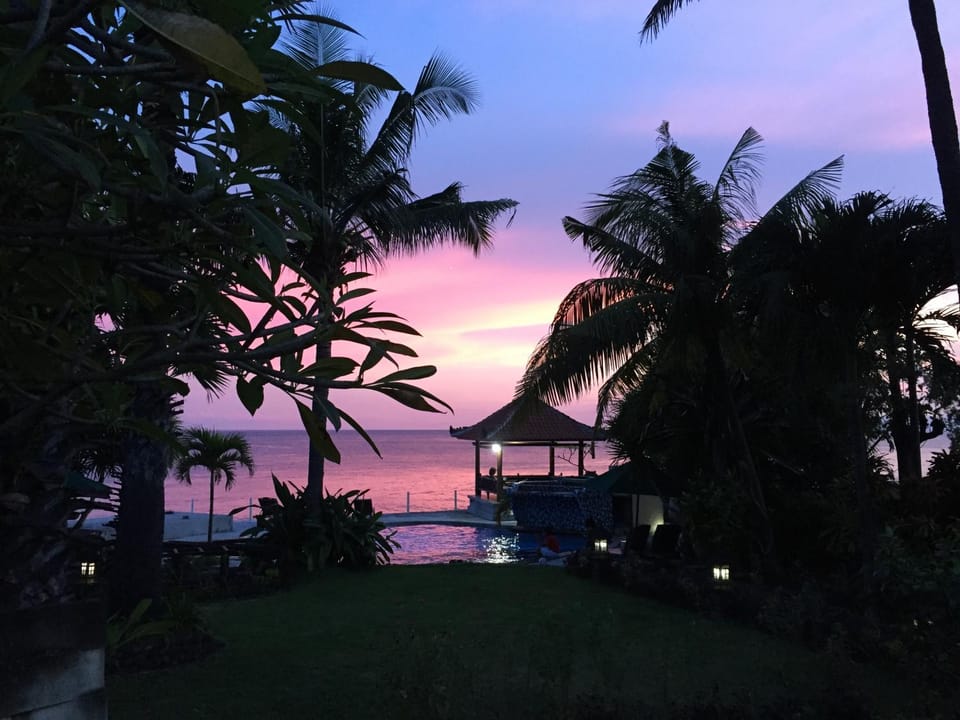 Garden, Swimming pool, Sunset