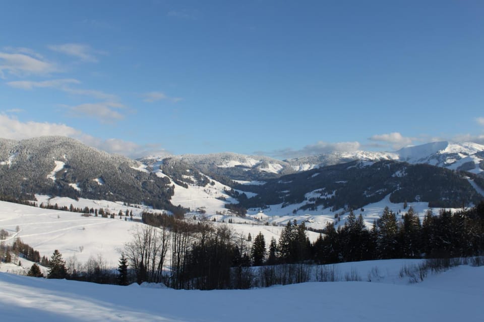 Mountain view