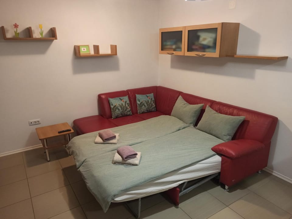 6 b Zgoša Apartment in Slovenia