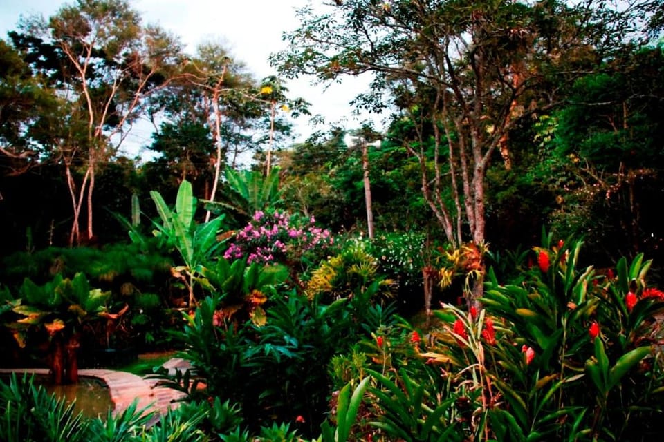Sitio Bom Tempo Hostel in Miguel Pereira