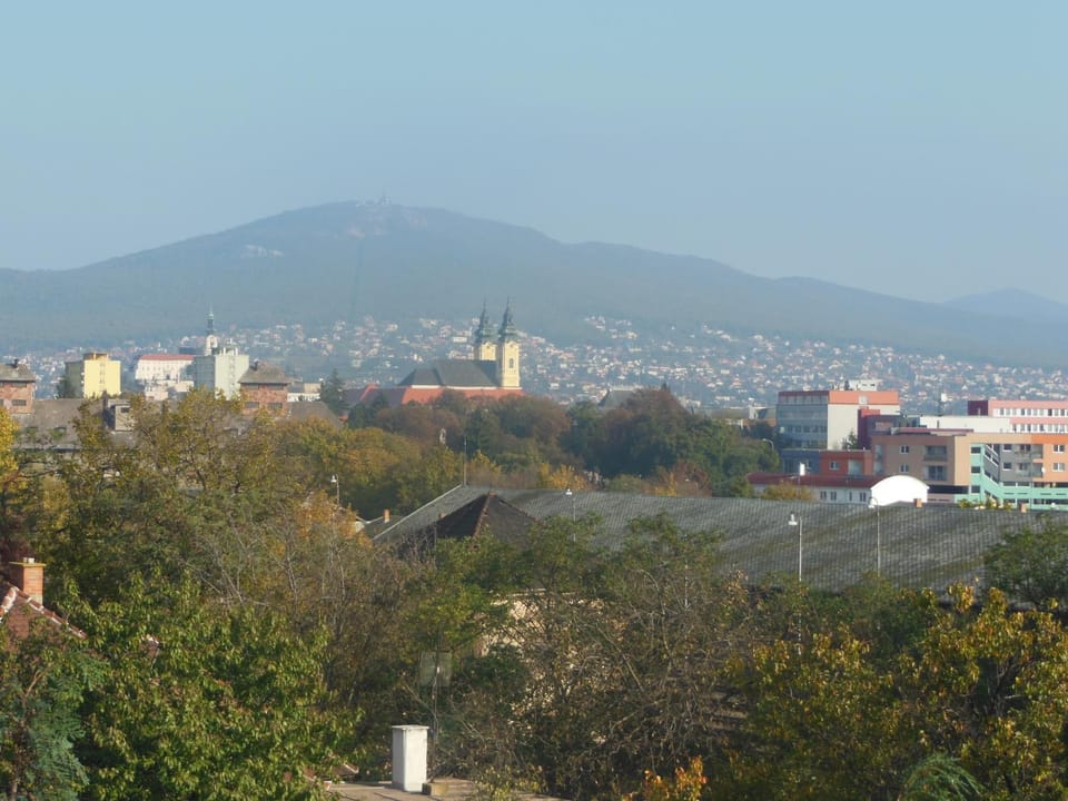 View (from property/room), Area and facilities