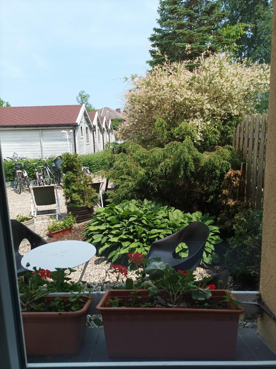 Day, Garden, Garden view