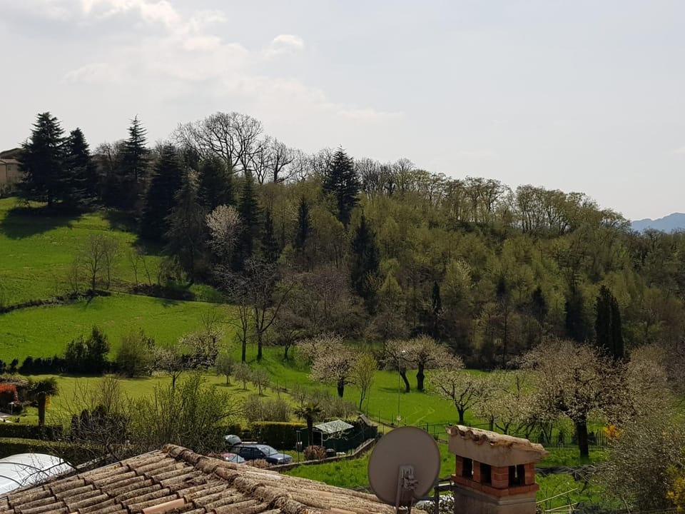Landmark view