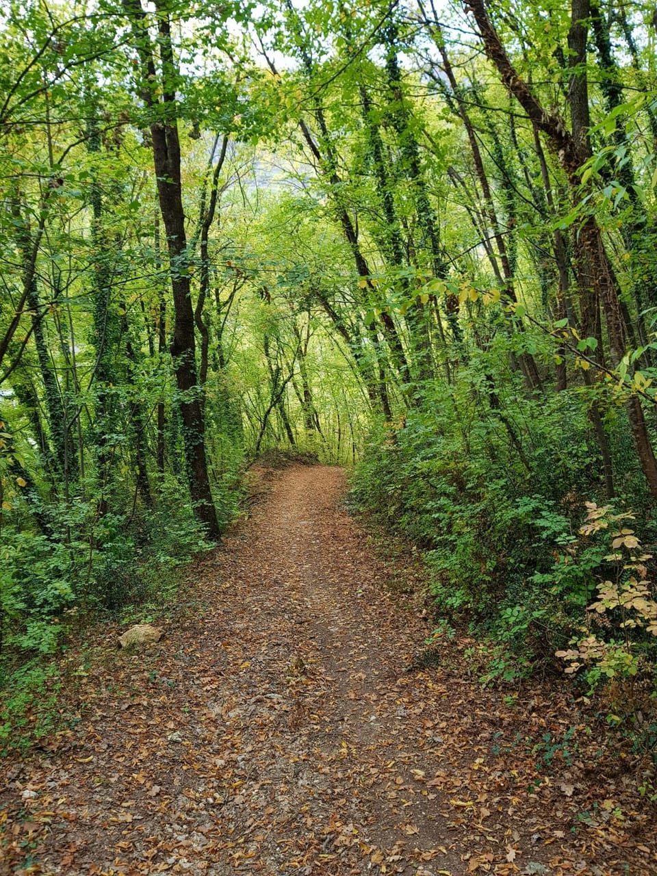 Hiking