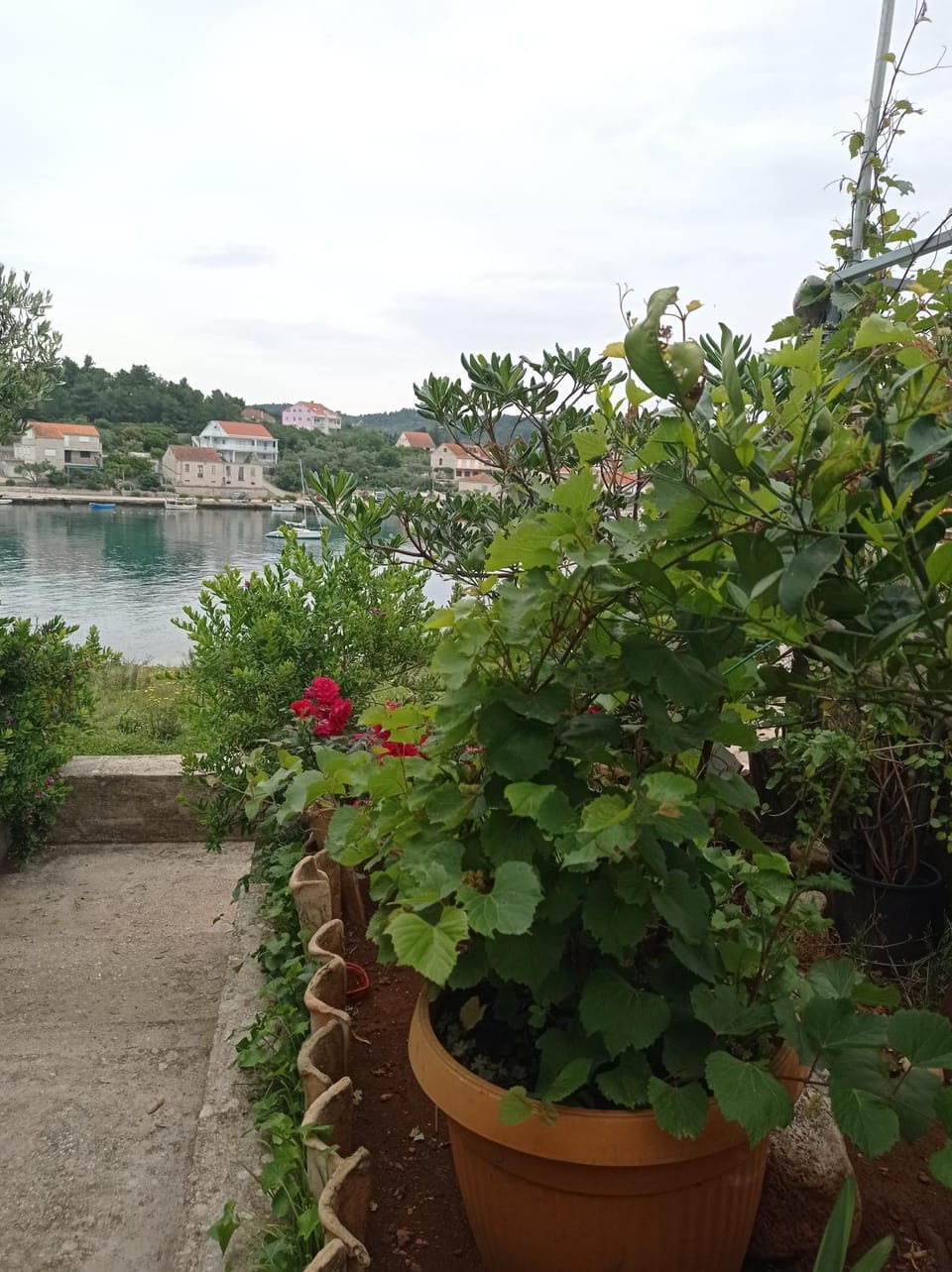 Adrian's Apartments & Winery Apartment in Dubrovnik-Neretva County