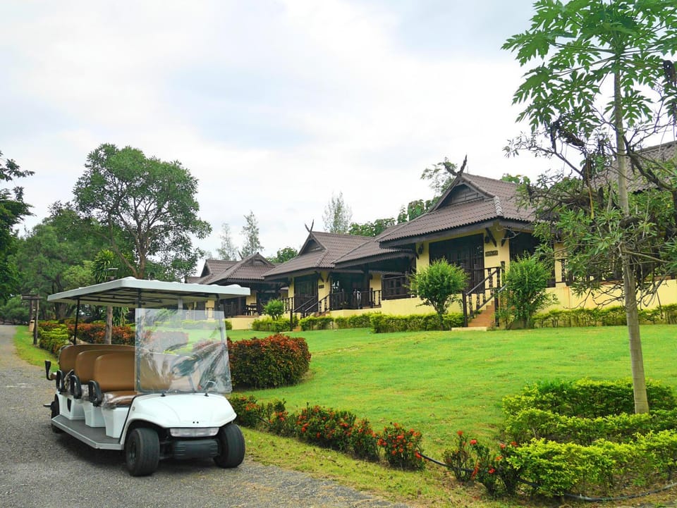 Property building, Garden, Garden view