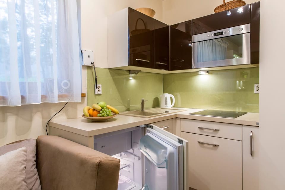 Apartament Krupowki CENTRUM Apartment in Zakopane