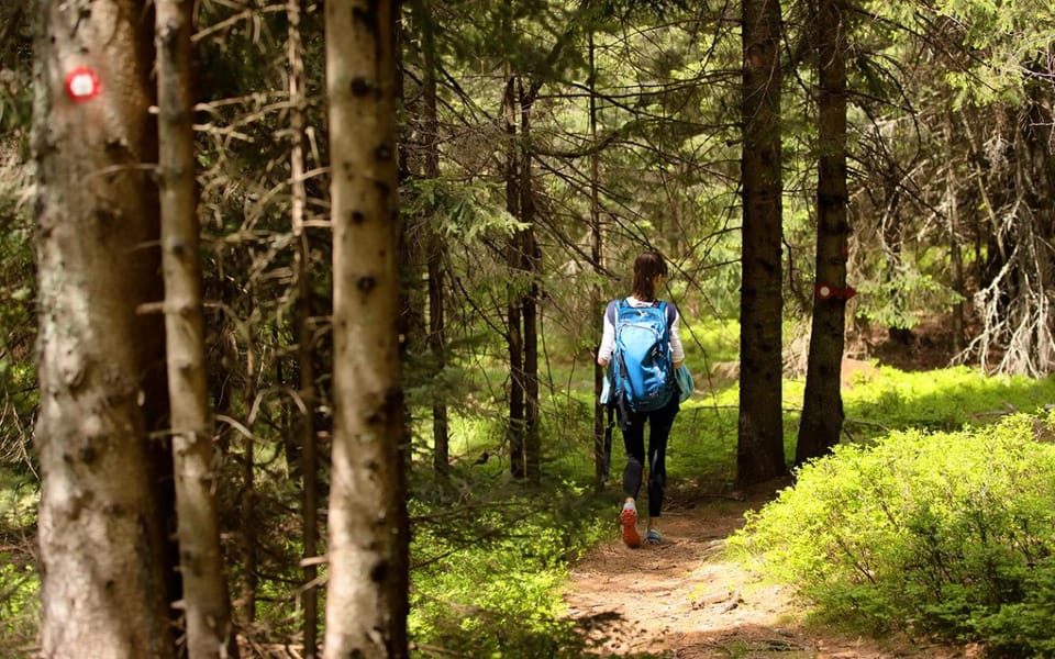 Day, People, Natural landscape, Hiking