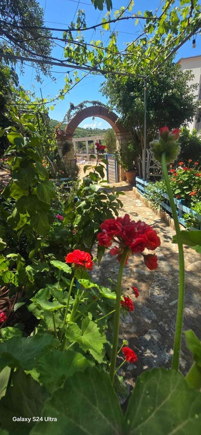 Holiwood Motel in Vlorë County, Albania