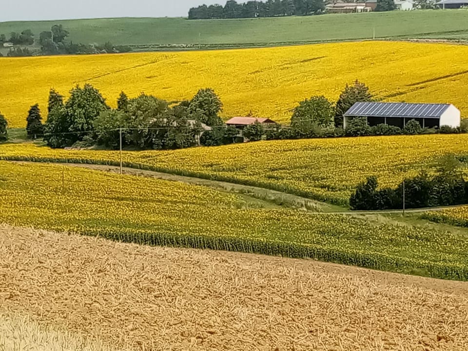 Day, Natural landscape