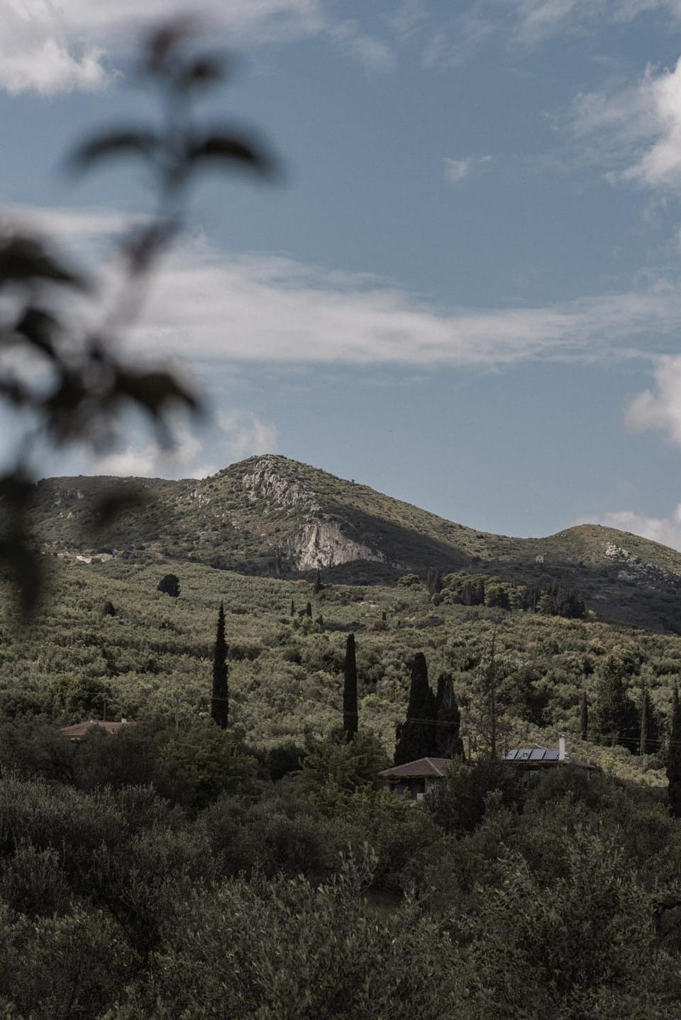 Mountain view