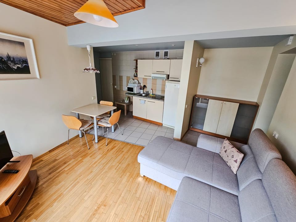 Mažoji Vilija Apartment in Palanga