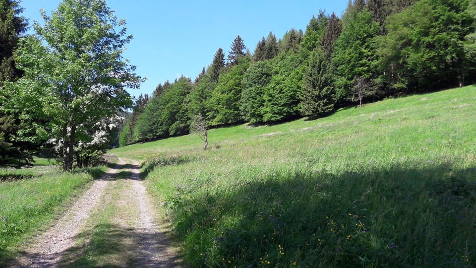 Natural landscape