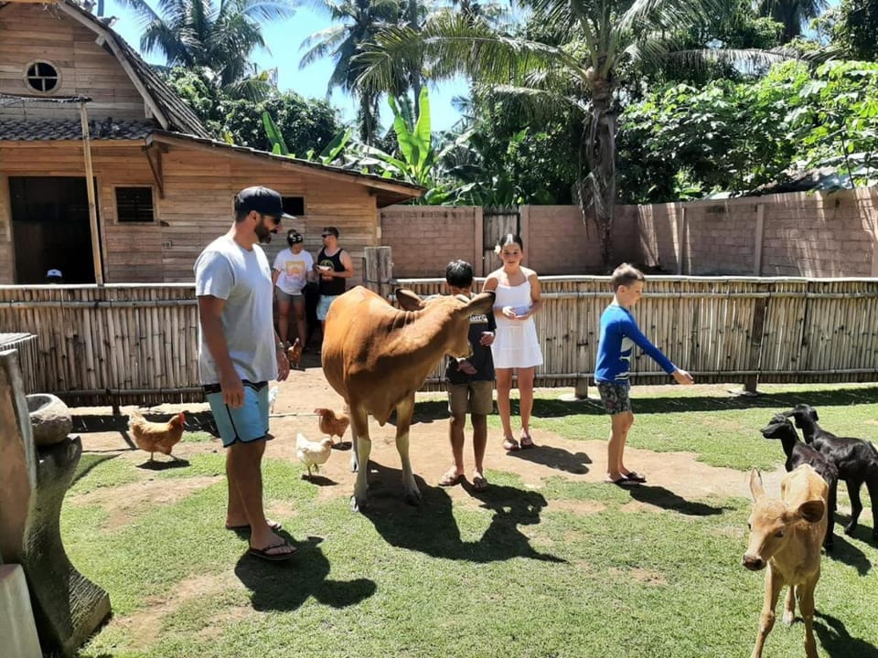 Animals, Pets, group of guests
