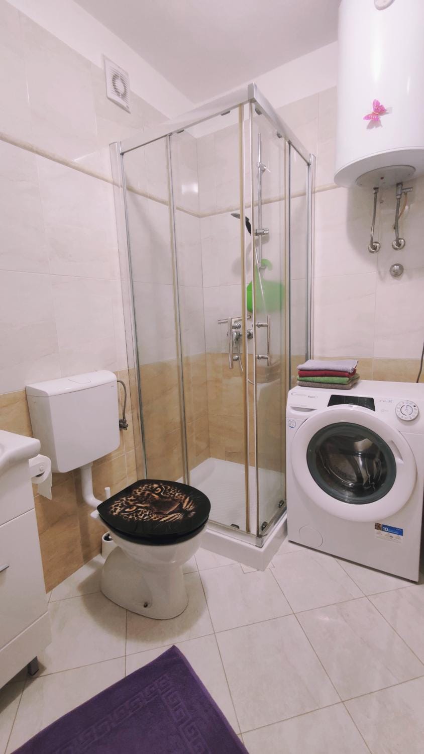 Shower, Toilet, Bathroom, washing machine