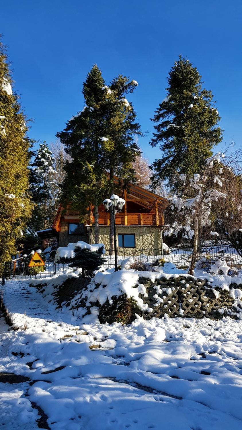 Property building, Winter