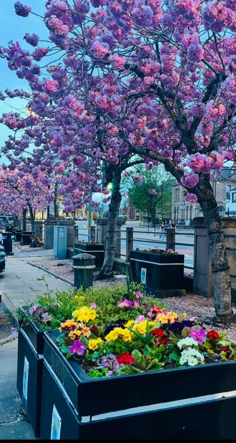 No.3 On The Square Apartment in Scotland