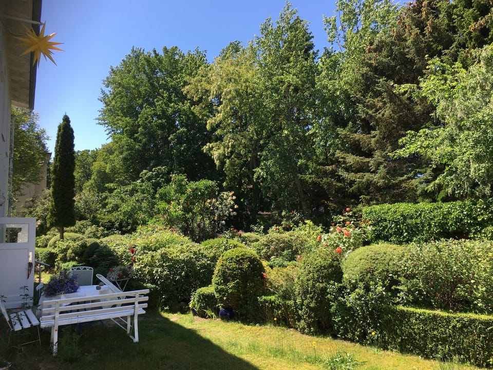 Garden, Quiet street view