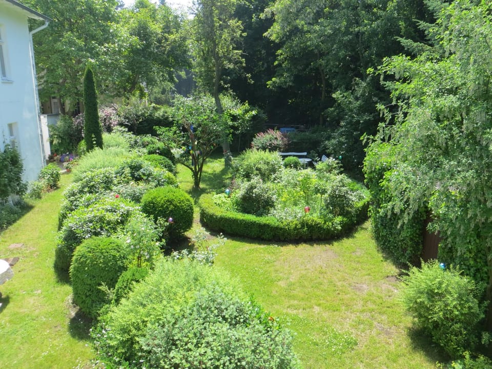 Spring, Day, Bird's eye view, Garden, Garden view