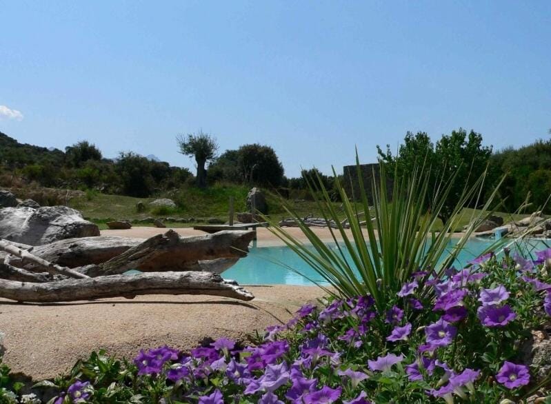 Day, Swimming pool