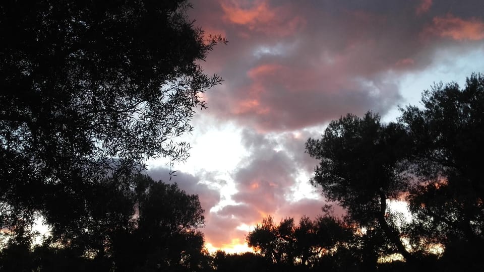 Natural landscape, Sunset