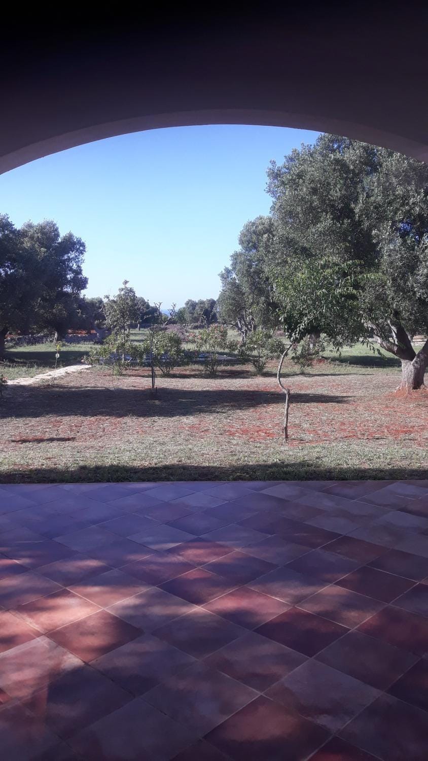 Garden view