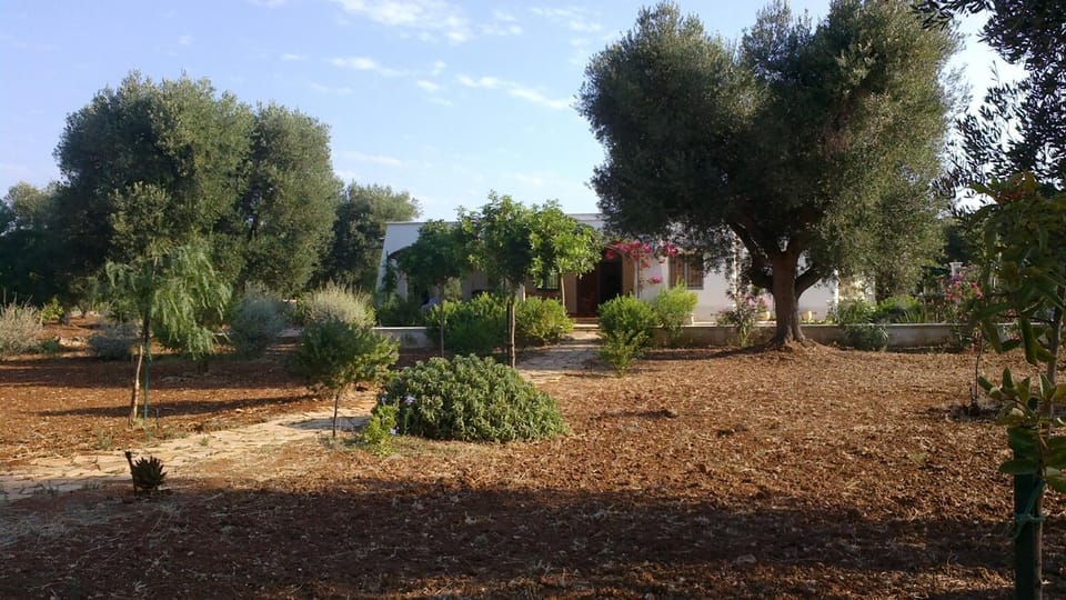 Property building, Garden, Garden view