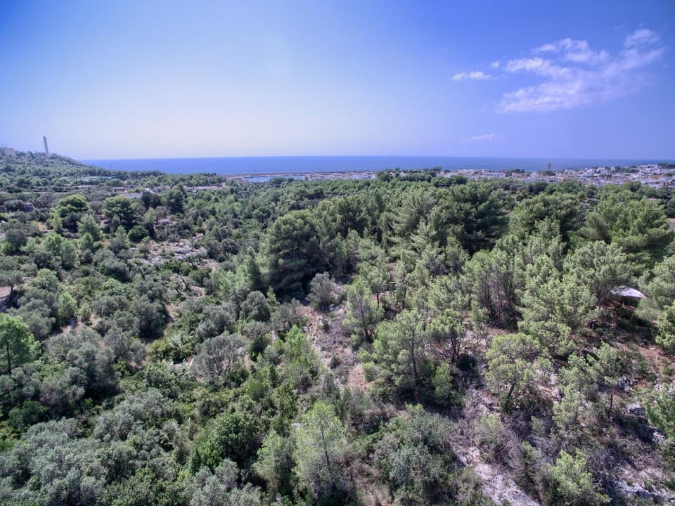 Summer, Landmark view, Sea view