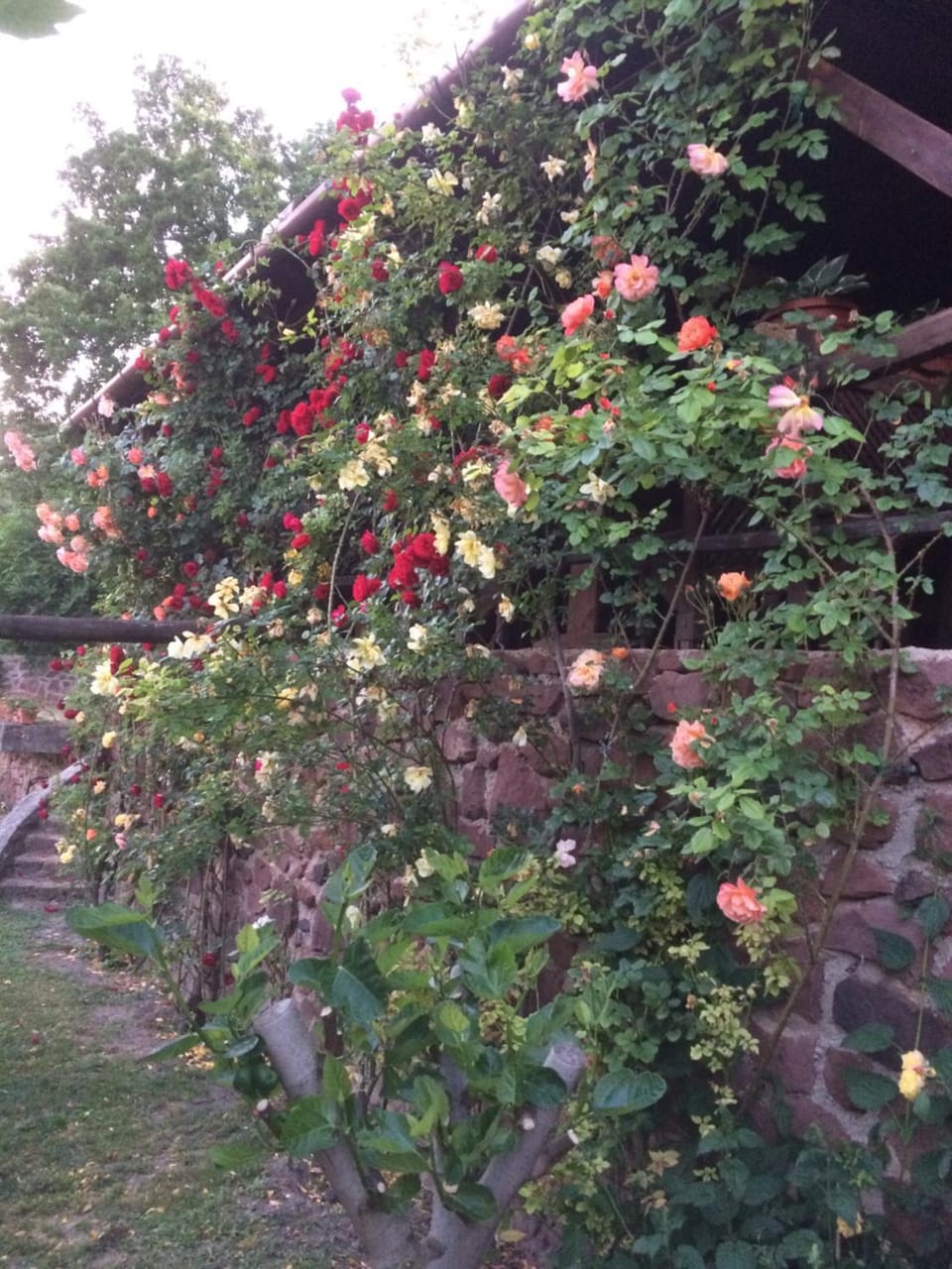 Prima Porta Vendeghaz Bed and Breakfast in Hungary