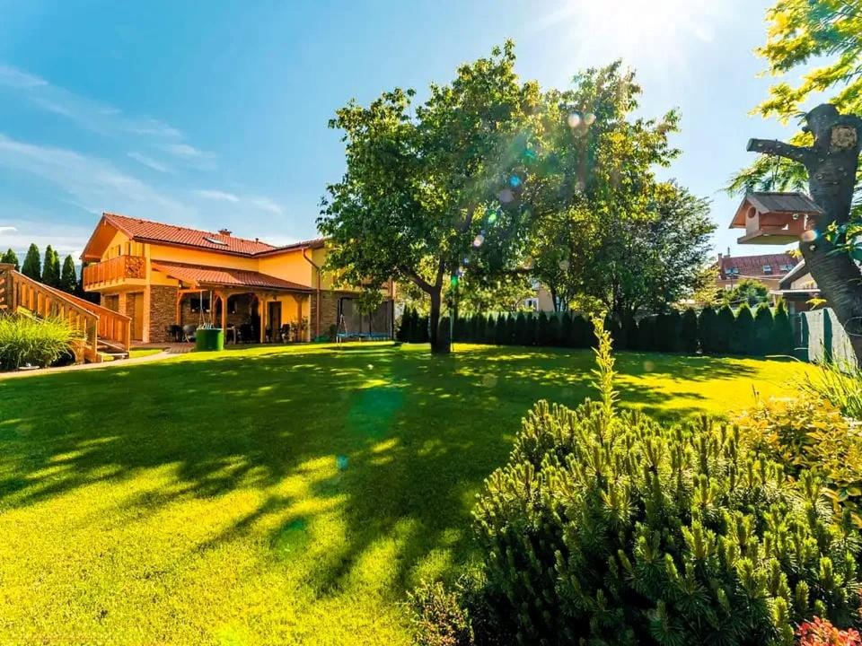 Garden view