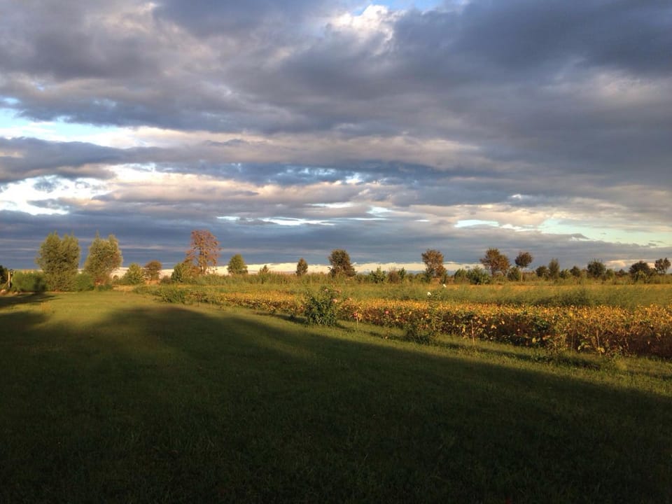 Natural landscape, View (from property/room)