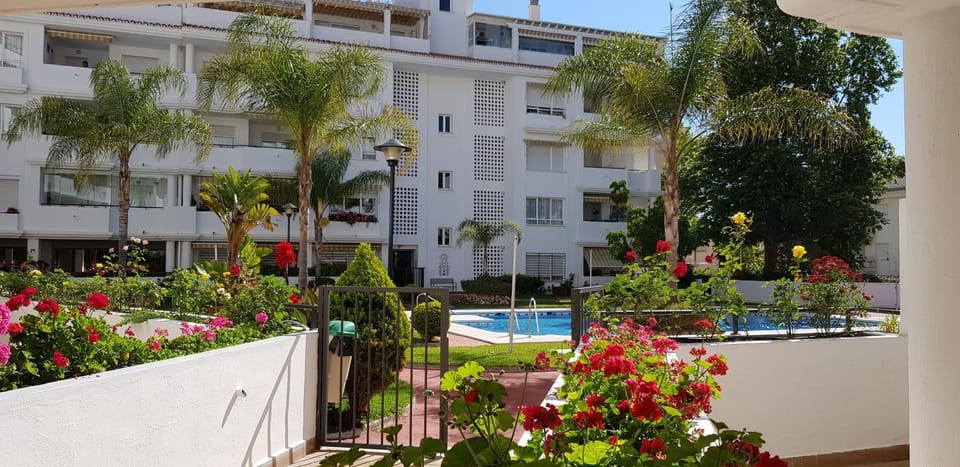 Garden, Swimming pool