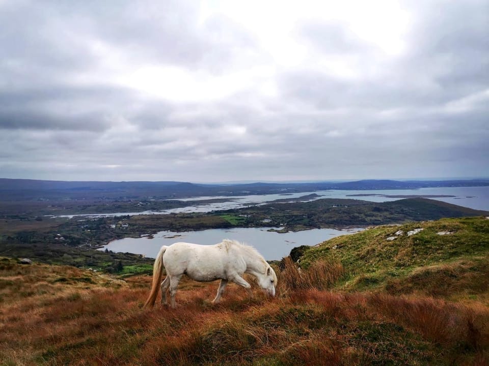 Activities, Hiking, Landmark view