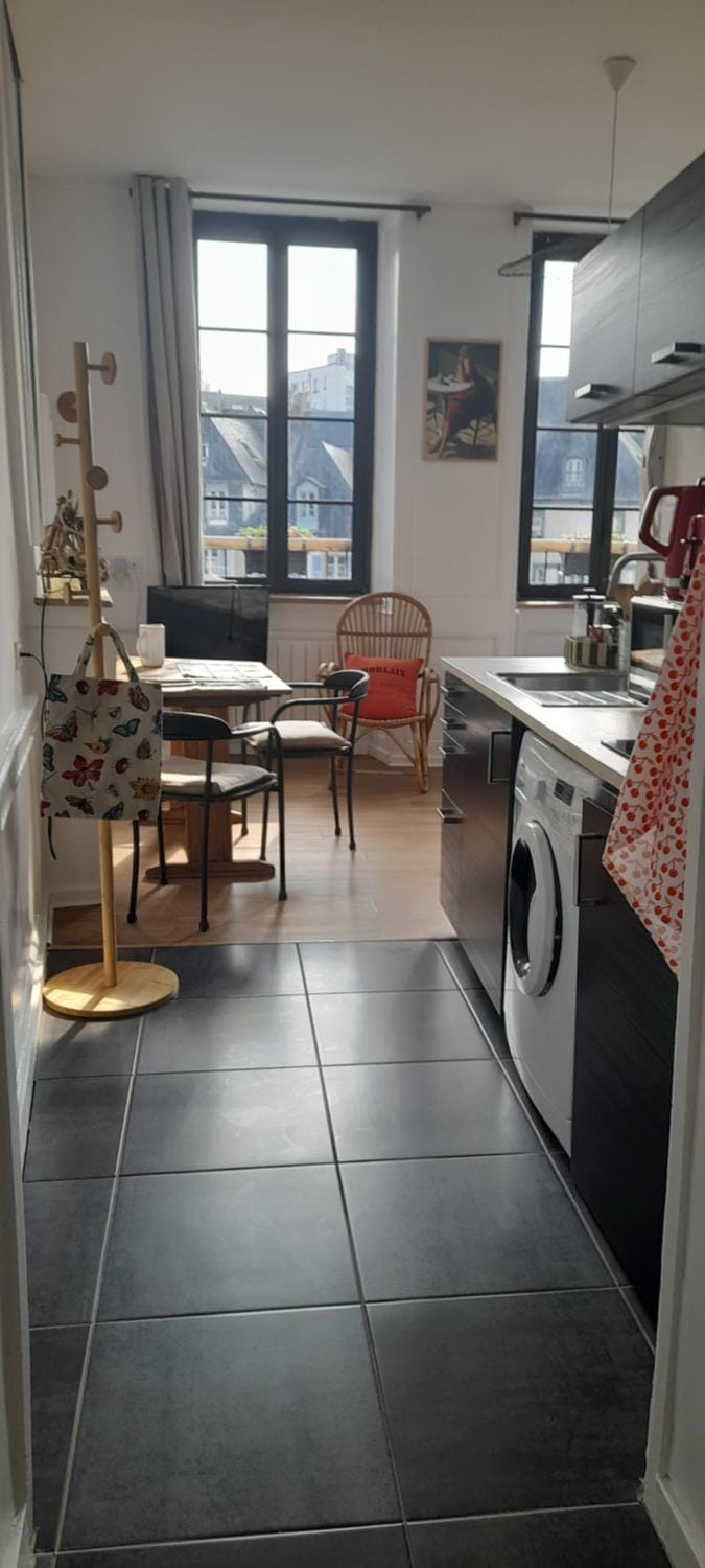 Le secret d'Oscar & la fantaisie de Jean Apartment in Morlaix