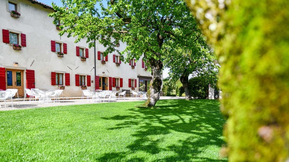 View (from property/room), Garden view