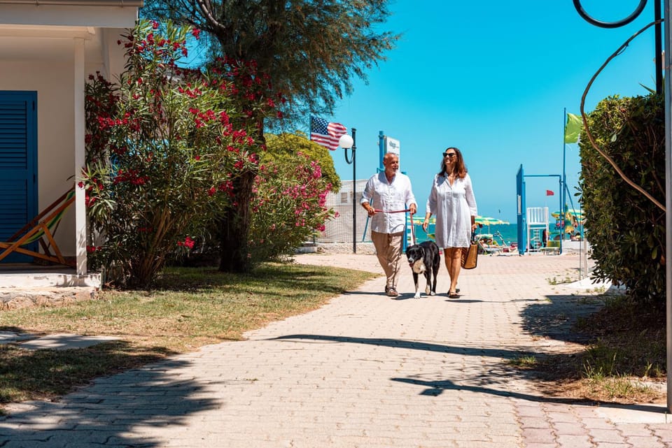Pets, Sea view