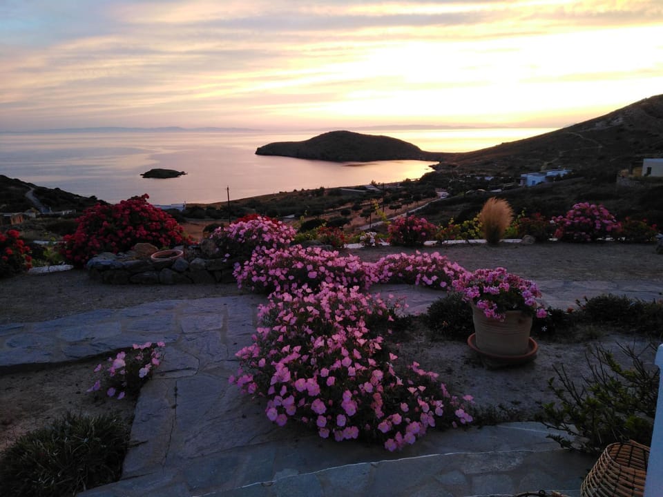Sea view, Sunset