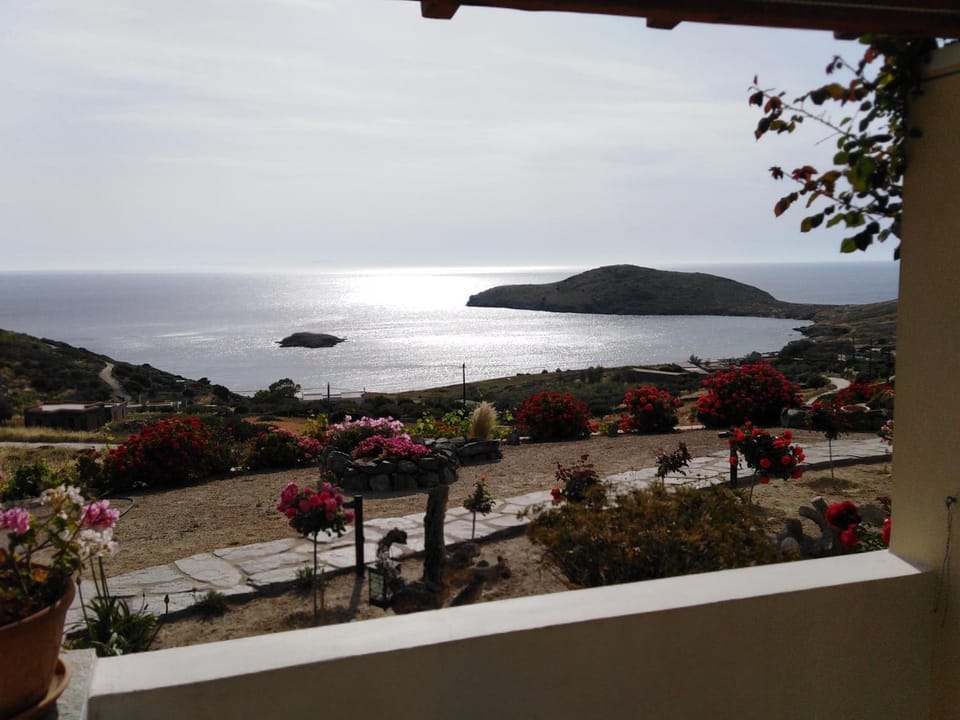 Garden view, Sea view