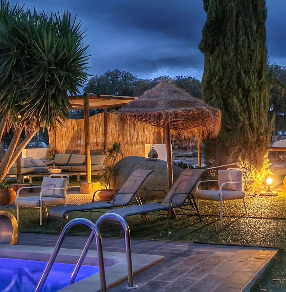 Natural landscape, Garden, Garden view, Pool view, Swimming pool, sunbed