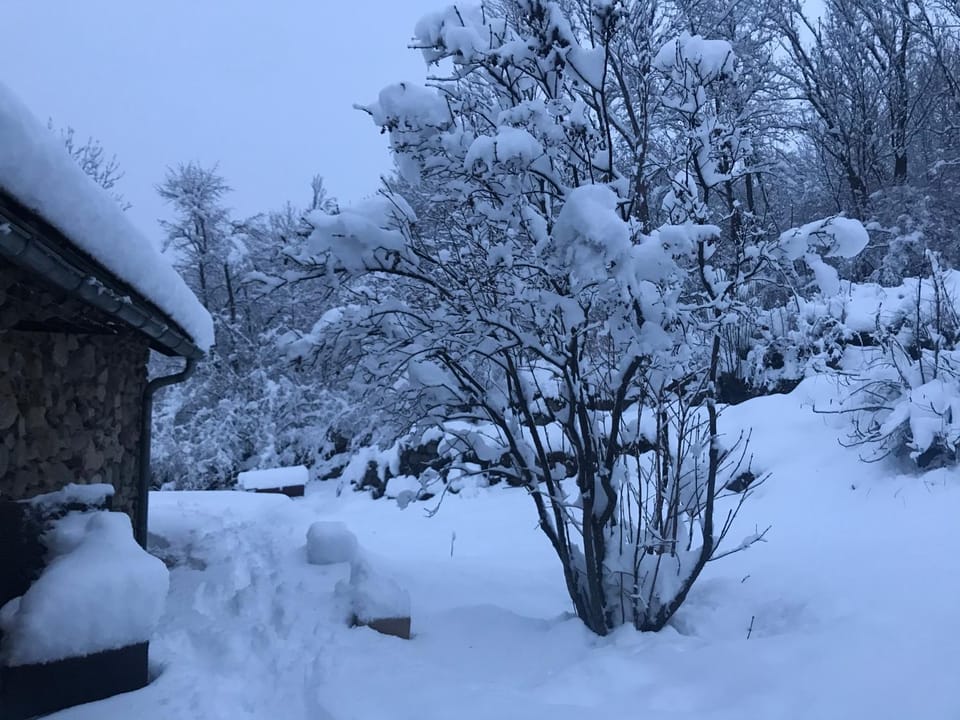 Cal Xandera Inn in Occitanie