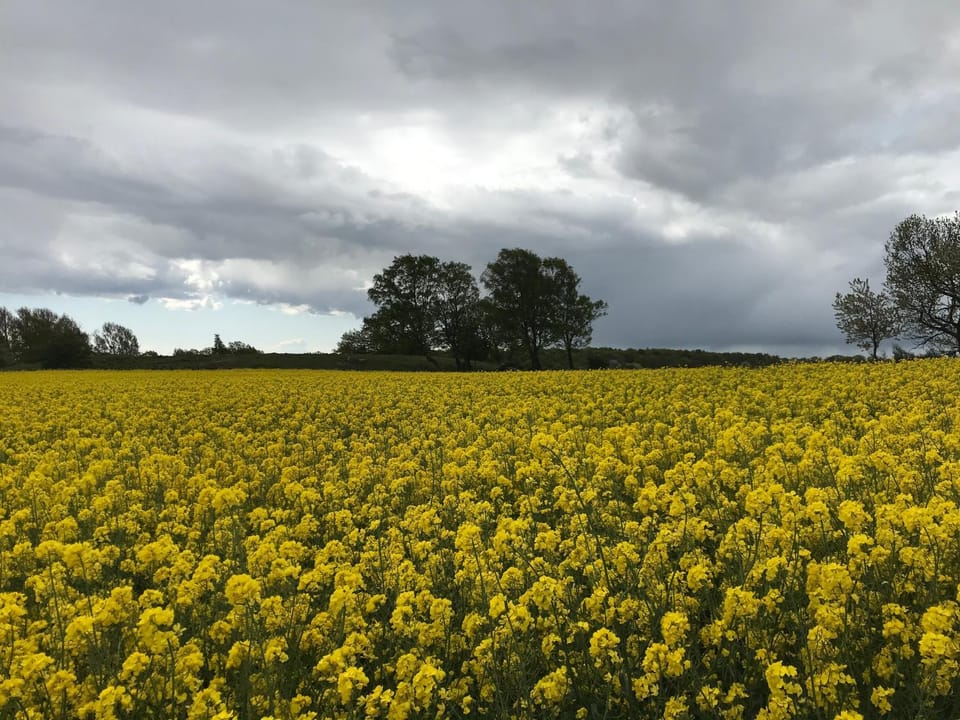Mellby 11 Bed & Breakfast Bed and Breakfast in Skåne County
