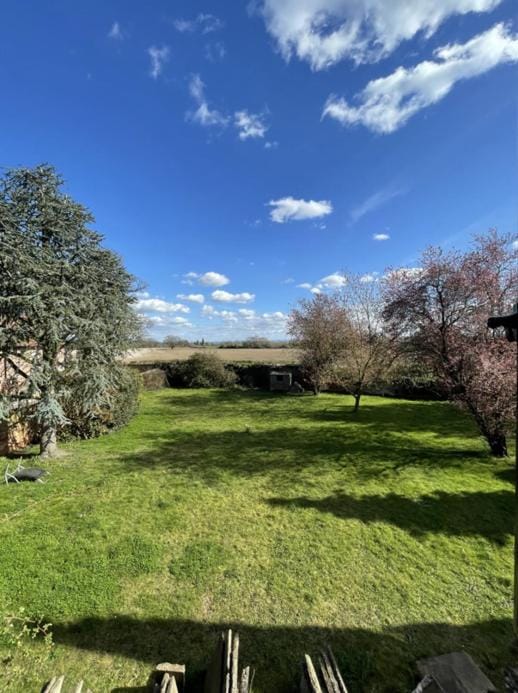 Natural landscape, Garden view