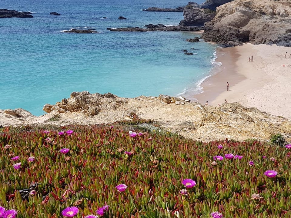 Spring, Beach