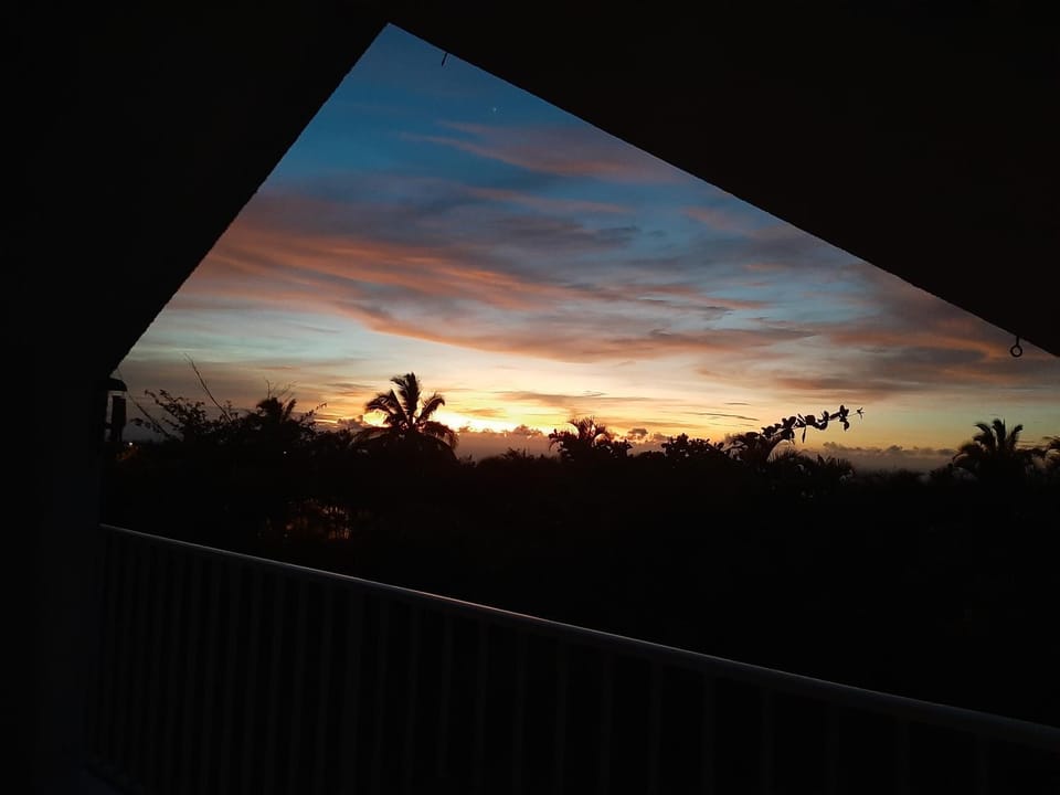View (from property/room)