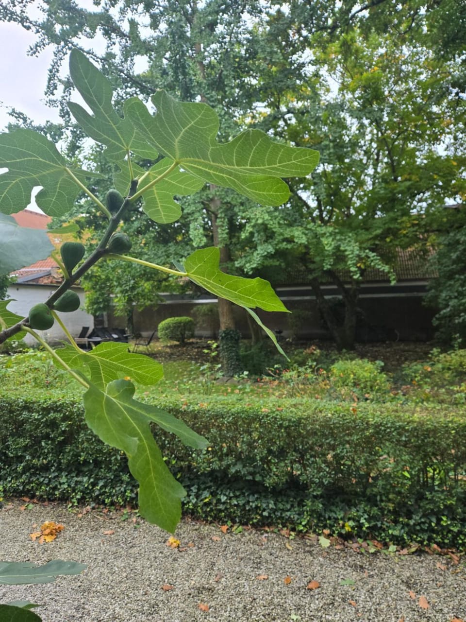 Brunius Guesthouse Bed and Breakfast in Lund