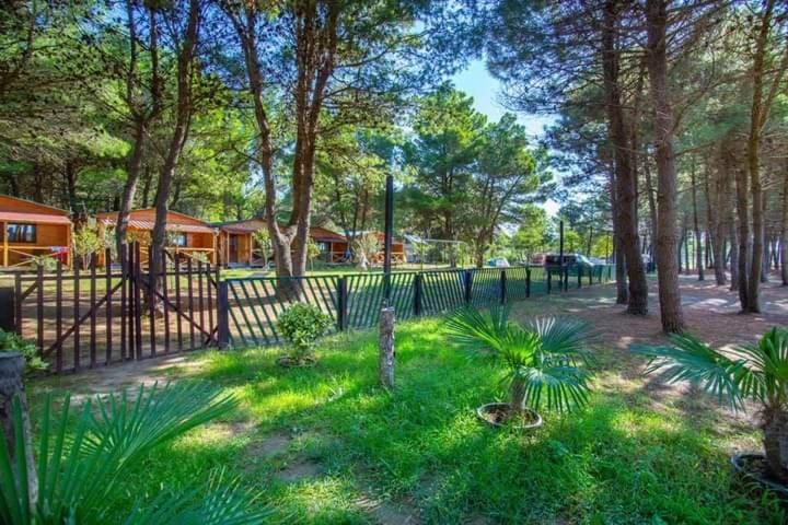 Saranda Beach Bungalow Chalet in Ulcinj Municipality