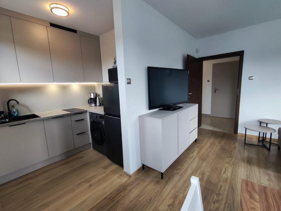 TV and multimedia, Kitchen or kitchenette, Living room, Dining area, dishwasher, internet, microwave, stove, washing machine