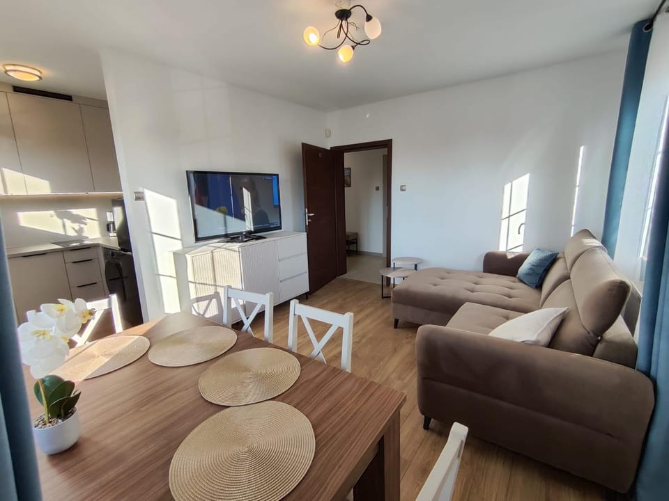 TV and multimedia, Kitchen or kitchenette, Living room, Photo of the whole room, Seating area, Dining area, dishwasher, internet, washing machine